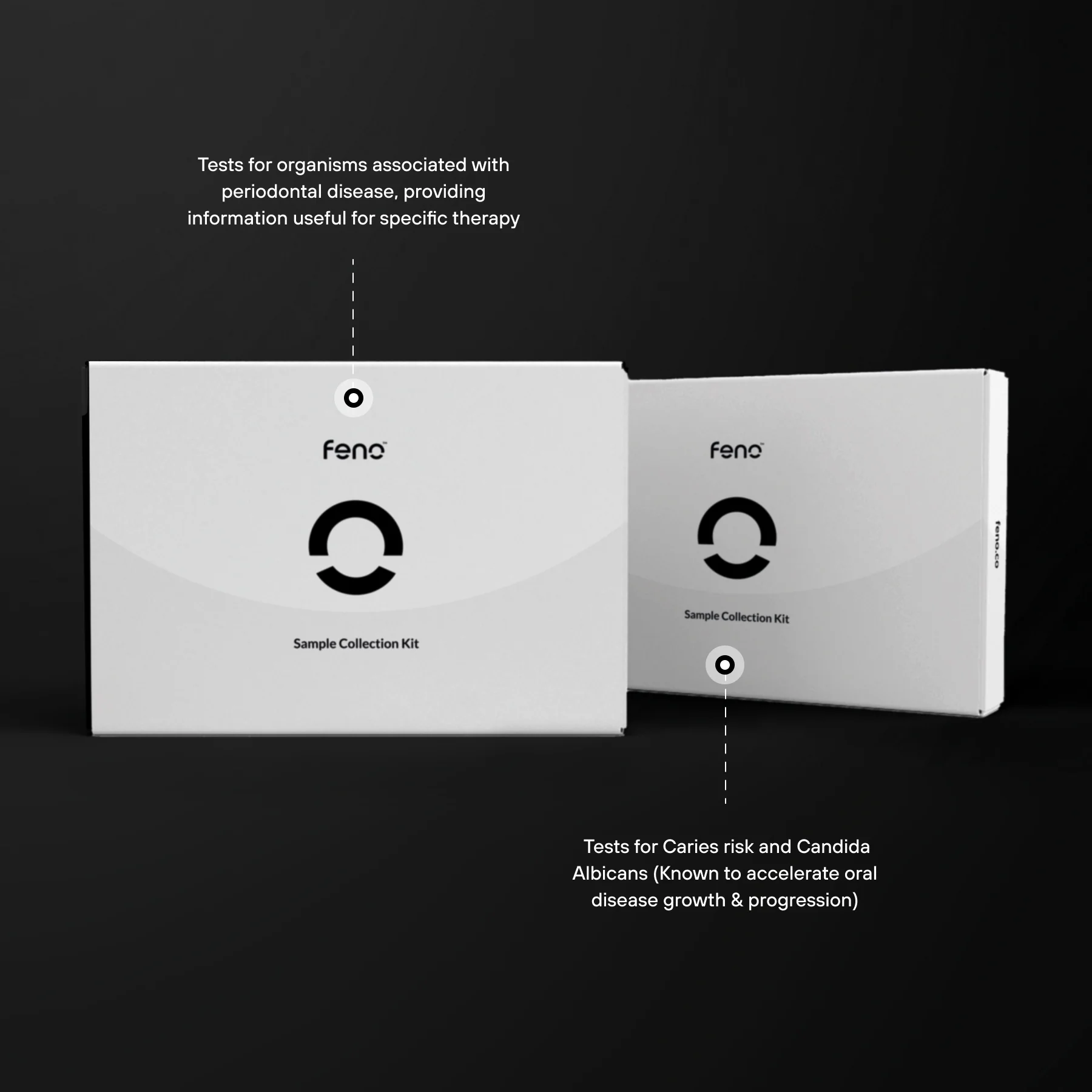Salivary Microbiome Test Kit - Image 3